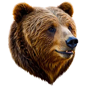 Bear Head Side View PNG 34 PNG