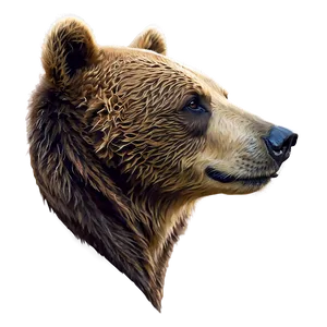 Bear Head Side View PNG Ues44 PNG