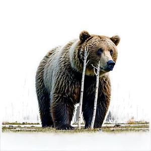 Bear In Forest Png 05032024 PNG image