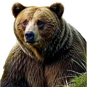 Bear In Forest Png Fqh PNG image