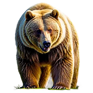 Bear In Forest Png Naf PNG image