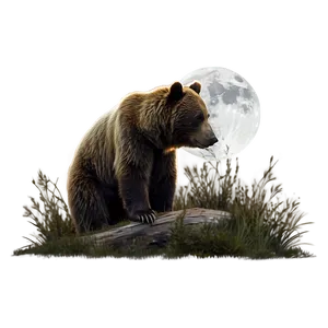 Bear In Moonlight PNG Kve PNG