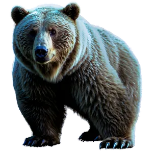 Bear In Moonlight PNG Wwe90 PNG