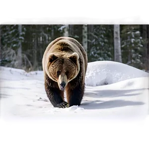 Bear In Snow Png 05032024 PNG image