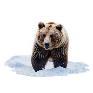 Bear In Snow Png 27 PNG image