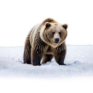 Bear In Snow Png Kqc PNG image