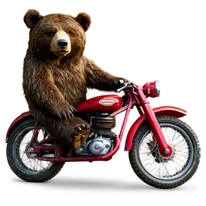 Bear On Bike PNG Qmc86 PNG