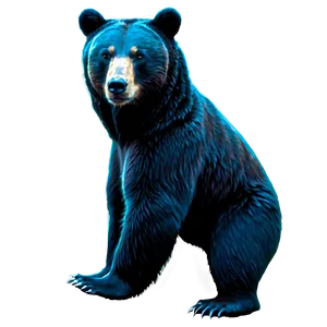 Bear Outline Png 66 PNG image