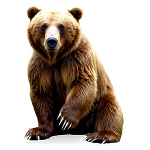 Bear Outline Png Hyi85 PNG image