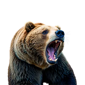 Bear Roaring PNG 05032024
