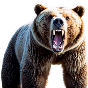 Bear Roaring Png Nmd5 PNG image