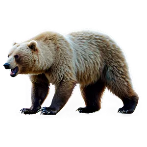 Bear Roaring PNG Omt24