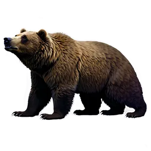 Bear Silhouette PNG Cut31