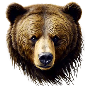 Bear Sketch Png 06112024 PNG image