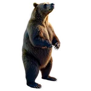 Bear Standing Up PNG Oey