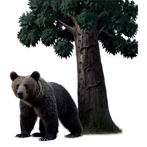 Bear Under Tree Png 05032024 PNG image