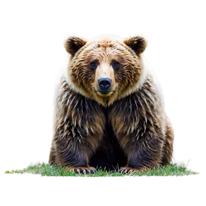 Bear With Cubs Png 76 PNG image