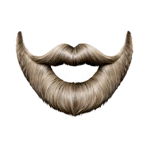 Beard B PNG image