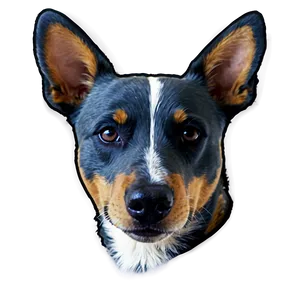 Beautiful Blue Heeler PNG 1
