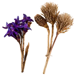 Beautiful Dried Bouquets Png 22 PNG image