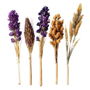 Beautiful Dried Bouquets Png Kgw PNG image