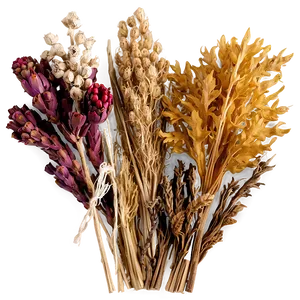 Beautiful Dried Bouquets Png Mhf PNG image