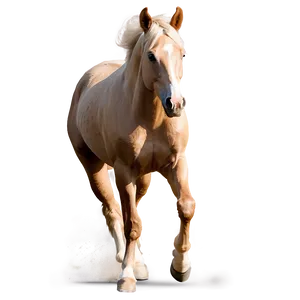 Beautiful Running Palomino Horse PNG 06292024 PNG