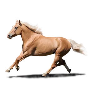 Beautiful Running Palomino Horse PNG 17 PNG