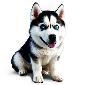 Beautiful Siberian Husky Png 06252024 PNG image