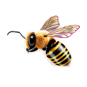 Bee And Butterfly Png Xsy PNG image