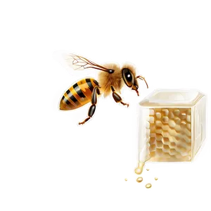 Bee And Honey Png Eui24 PNG image