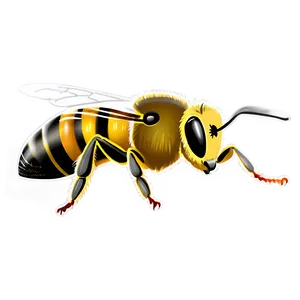 Bee Drawing Png Xev PNG image