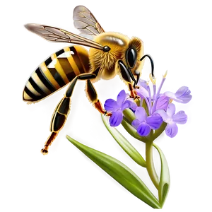 Bee Enjoying Nectar PNG 06252024 PNG