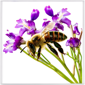 Bee Enjoying Nectar PNG Xew PNG