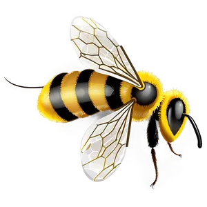 Bee Illustration Png 05232024 PNG image