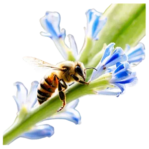 Bee In Nature Png Nag6 PNG image