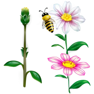 Bee On A Flower Png 05232024 PNG image