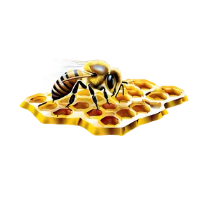 Bee On Honeycomb Png 06252024 PNG image