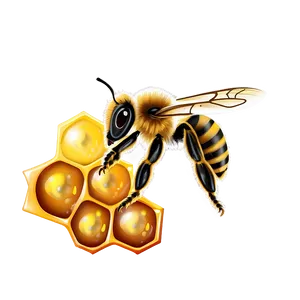 Bee On Honeycomb PNG 55