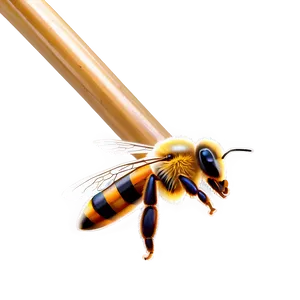 Bee Outline PNG 65