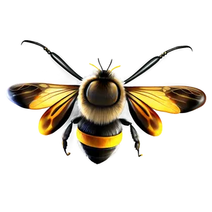 Bee Wings Png Kwu PNG image