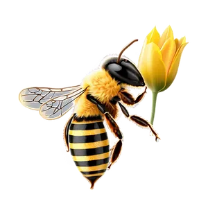 Bee With Crown PNG Wia