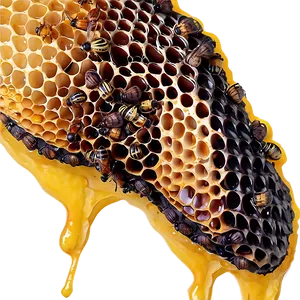 Beehive With Beeswax Png 06282024 PNG image