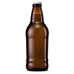 Beer Bottle Side View PNG Twg
