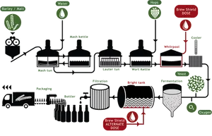 Beer Brewing Process Flowchart PNG image