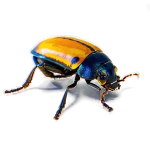 Beetle Bug PNG 05242024