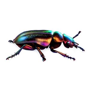 Beetle Bug PNG Blc