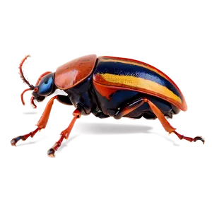 Beetle Camouflage Technique PNG 05242024