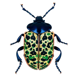 Beetle Camouflage Technique PNG Bjl