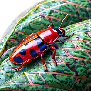 Beetle Camouflage Technique PNG Xfx5